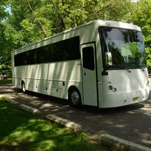 Party Bus VIP